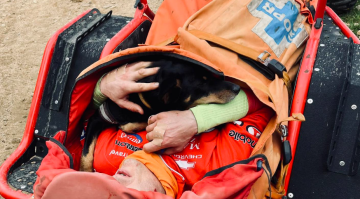 Pies nie opuścił rowerzysty do końca akcji ratunkowej